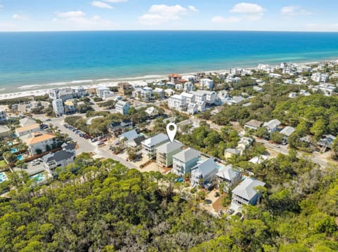 Pelican Perch House in Seagrove Beach