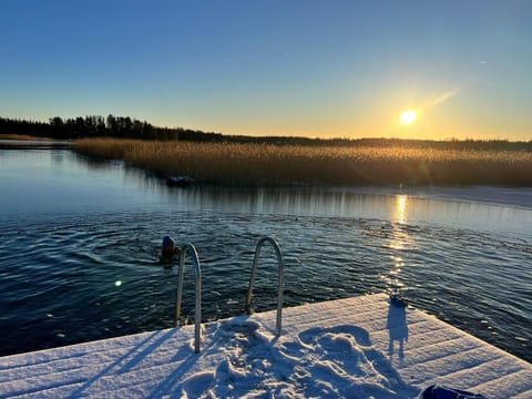 New Seaside Villa with Beach Sauna and Panoramic Views House in Uusimaa