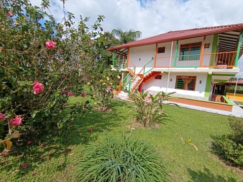 Property building, Day, Garden