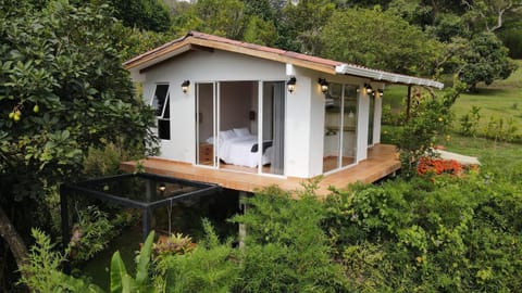 Natural landscape, Bird's eye view, Garden view