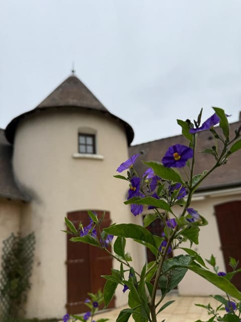 Grande Maison élégante à Vendome House in Vendôme