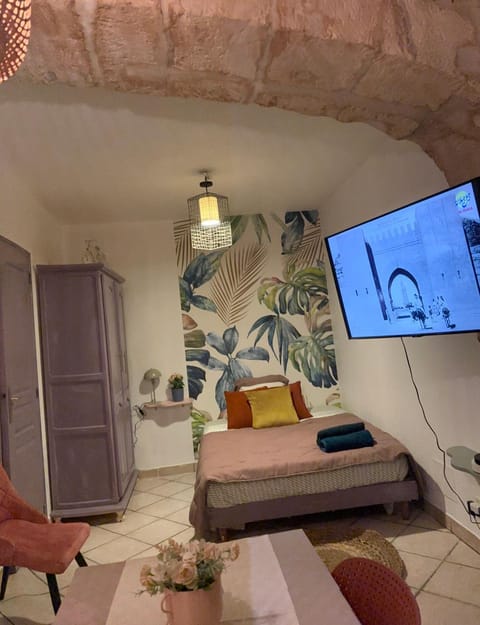 Centre ville Apartment in Tarascon