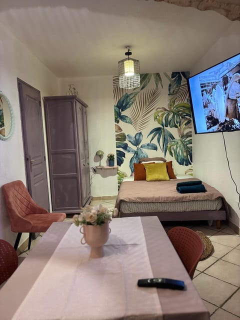 Centre ville Apartment in Tarascon