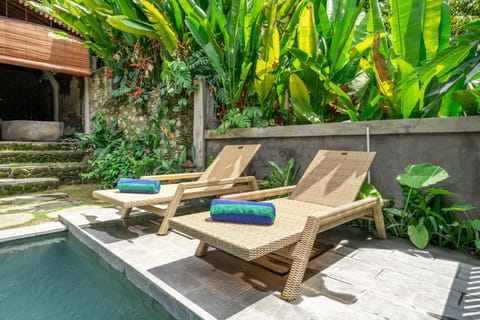 Day, Garden, Garden view, Pool view, Swimming pool, sunbed