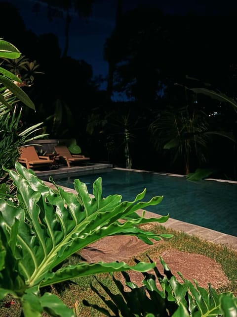 Night, Garden, Garden view, Pool view, Swimming pool