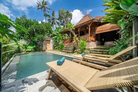 Property building, Natural landscape, Garden, Garden view, Pool view, Swimming pool, sunbed