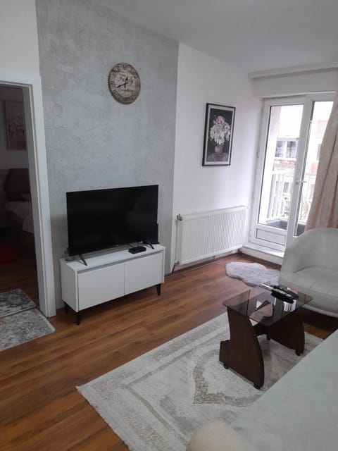 Tini Apartment Apartment in Serbia