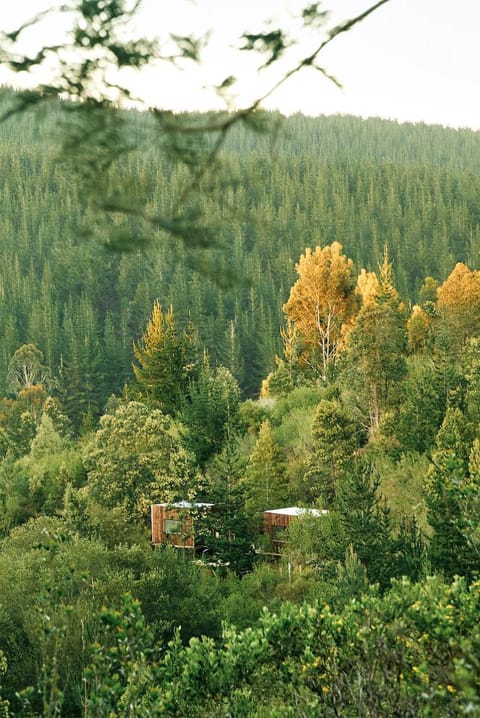Natural landscape, View (from property/room)