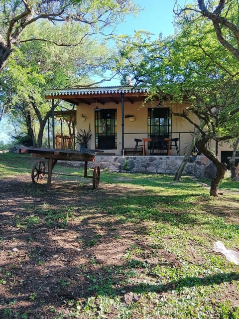 Property building, Patio, Garden, Garden view