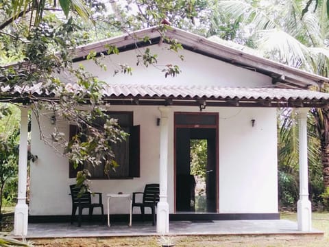 Property building, Patio, Day, Garden