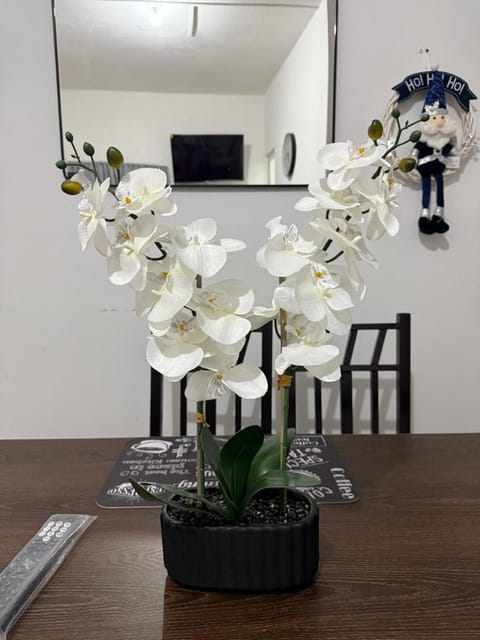 Las Flores en Quinta La Chata Apartment in Hidalgo, Mexico