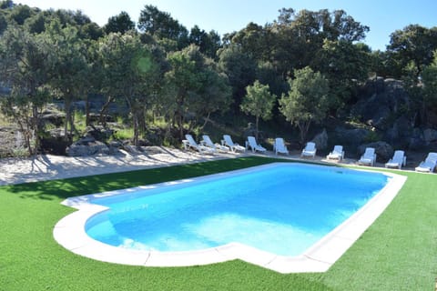 Spring, Day, Natural landscape, Garden, Garden view, Pool view, Swimming pool, sunbed
