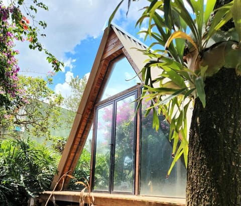 Property building, Garden view