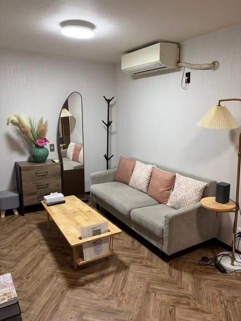 Living room, Seating area, air conditioner