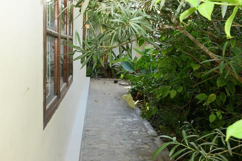 Spring, Day, Garden, Garden view