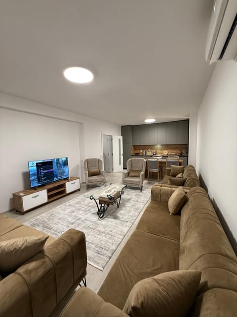 Living room, kitchen
