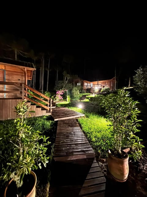 Night, Garden