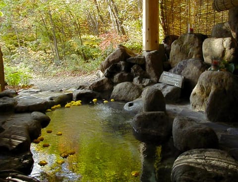 Hot Tub, Open Air Bath