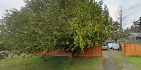 The basics in Edgewood Chalet in Auburn