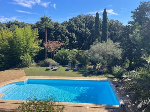 Garden, Garden view, Swimming pool, sunbed
