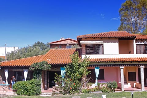 Property building, Day, Garden