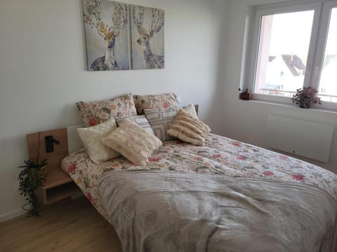 Chez Olivier wifi private parking Swiss border Apartment in Weil am Rhein