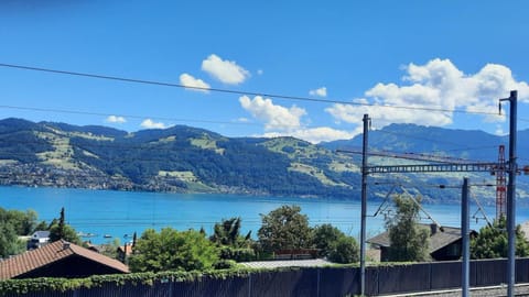 Lake view