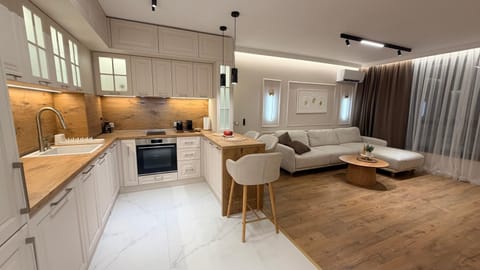 Kitchen or kitchenette, Living room, Seating area, Dining area, dishwasher, oven, stove