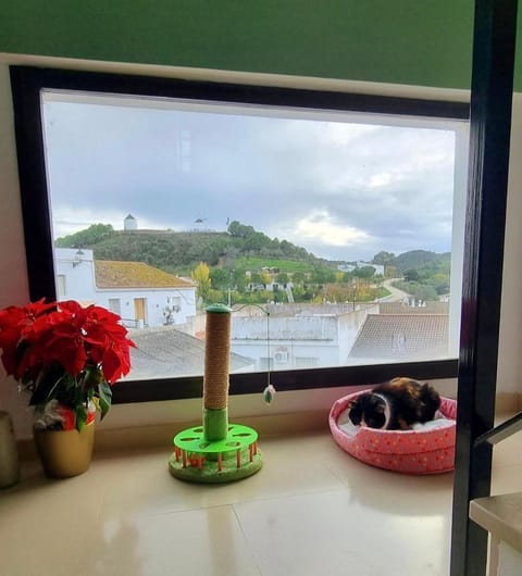 Natural landscape, View (from property/room), Mountain view