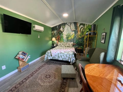 Bed, TV and multimedia, Photo of the whole room, Seating area, air conditioner