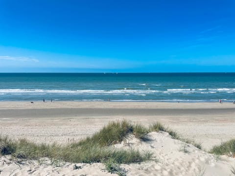 Salt Spa de Panne center Apartment in De Panne