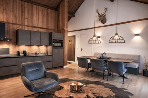 Kitchen or kitchenette, Living room, Seating area, Dining area, stove