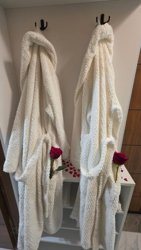 Ljubavna prica spa Apartment in Novi Sad