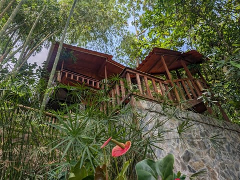 Property building, Natural landscape, Garden view