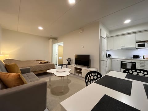 Bed, TV and multimedia, Kitchen or kitchenette, Living room
