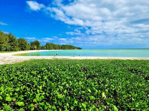 Natural landscape, Beach, Sea view