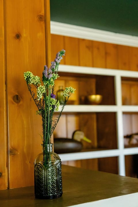 The Meadow- off Taconite Trail House in Tower