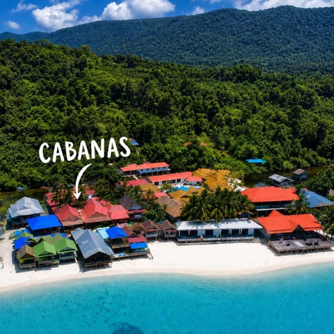 Property building, Natural landscape, Beach