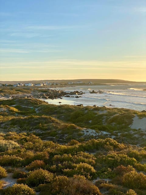 Natural landscape, Fishing, Garden, Snorkeling, Beach, Hiking, Sea view, Sunset