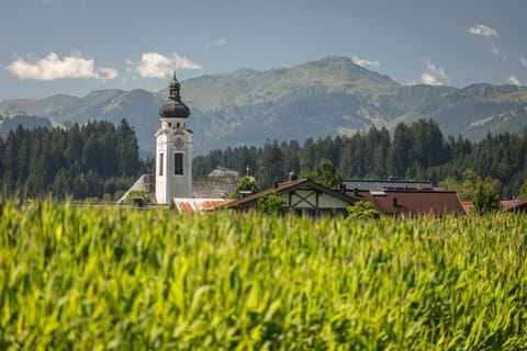 Spring, Natural landscape, Mountain view