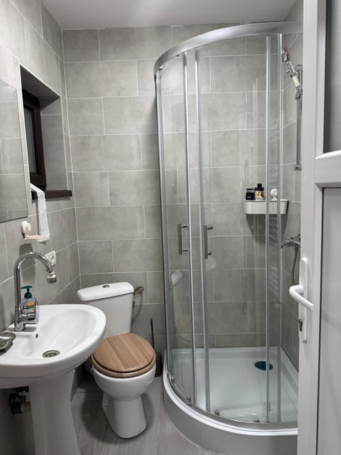 Preda House Apartment in Craiova