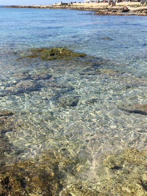 Natural landscape, Beach