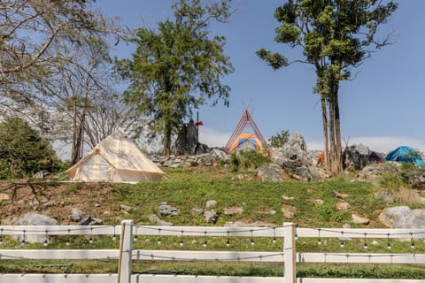Natural landscape