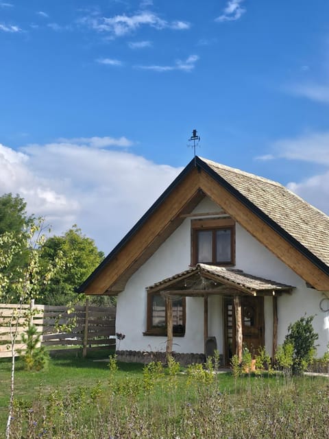 Property building, Spring, Day, Natural landscape, Garden, Garden view