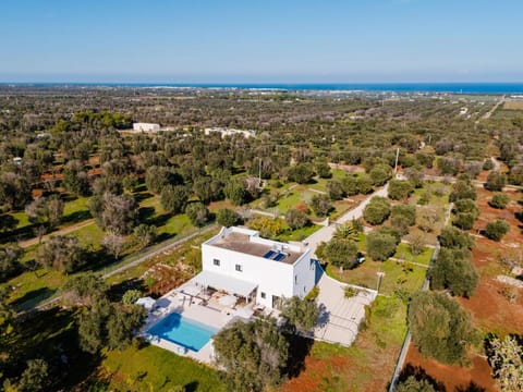 Property building, Bird's eye view