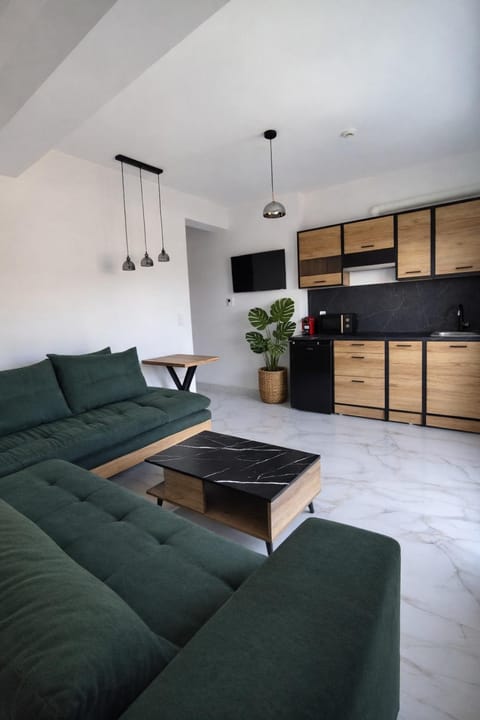 Communal lounge/ TV room, TV and multimedia, Kitchen or kitchenette, Living room, Seating area