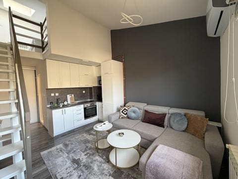 Kitchen or kitchenette, Living room, Seating area, oven