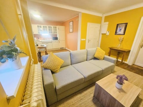 Relaxing 1 bedroom apartment in Limpertsberg Apartment in Luxembourg