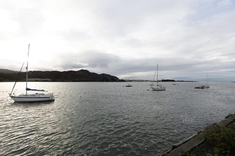 Cosy Deganwy Escape by the Sea & Conwy Mountain House in Deganwy