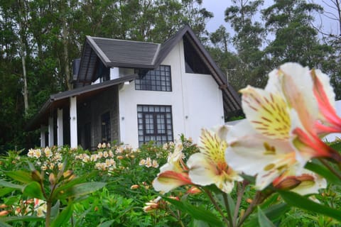 Property building, Day, Garden